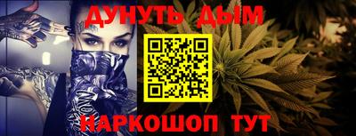 сатива Шебекино