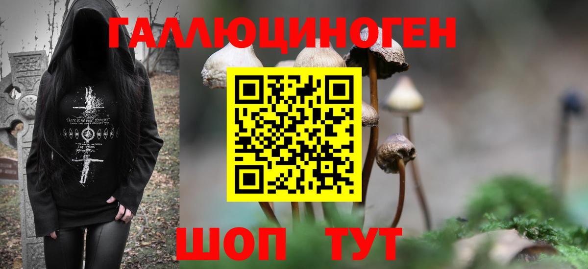 Псилоцибиновые грибы Psilocybe  Галлюциногенные грибы мицелий  Ангарск  Вход с VPN 